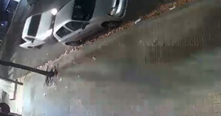 Cómo denunciar un auto mal estacionado en Argentina paso a paso