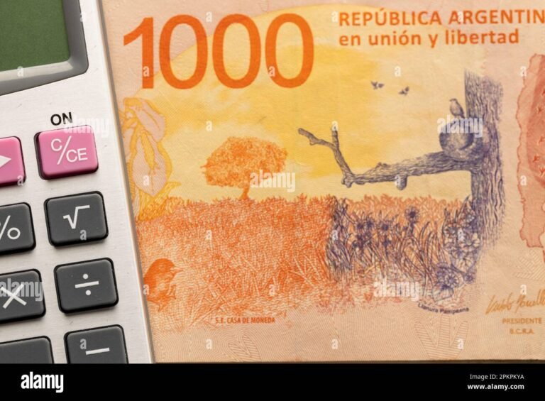 Cuál es la Diferencia Entre Impuestos Directos e Indirectos en Argentina 24 billetes argentinos y calculadora financiera