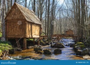 cabanas rusticas junto a un arroyo bosque