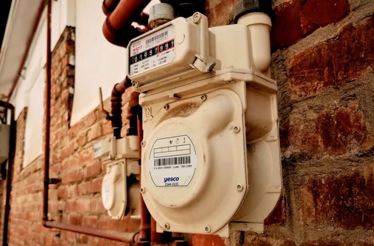 Cómo Acceder al Subsidio de Luz y Agua en Argentina