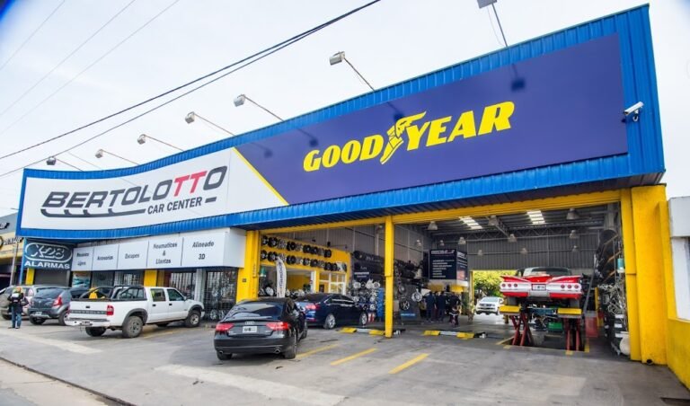 tienda de repuestos automotrices en neuquen