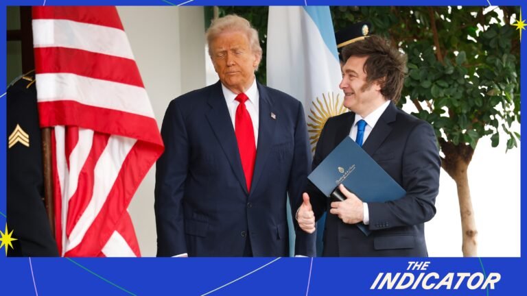 usuario navegando sitio web gubernamental argentina